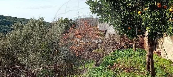 1 bedroom House in Alvaro, Portugal No. 179495 14