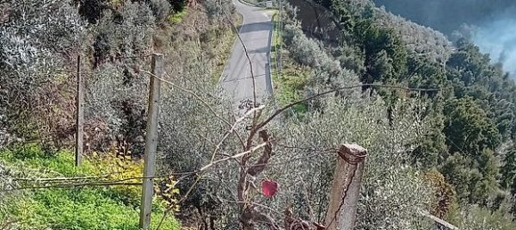 1 bedroom House in Alvaro, Portugal No. 179495 17