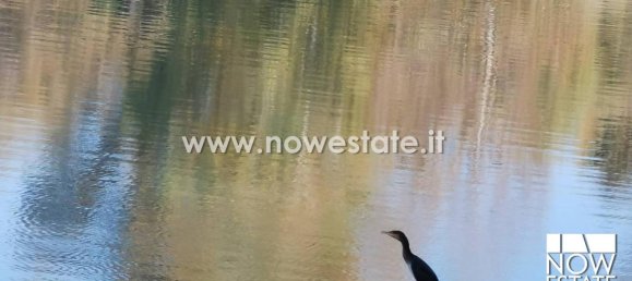 20-Zimmer Haus in Anghiari, Italy, Nr. 67759 39