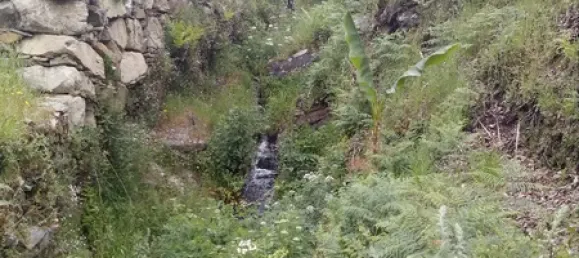 70000m² Land in Arouca, Portugal No. 92786 4