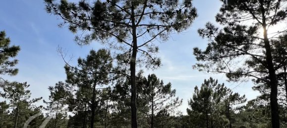 Terrain à Alcacer do Sal, Portugal 400m² No. 73576 9