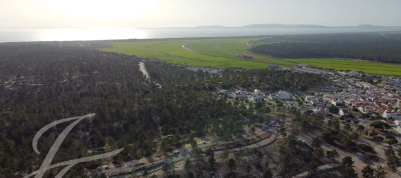 Terrain à Alcacer do Sal, Portugal 400m² No. 73576 11