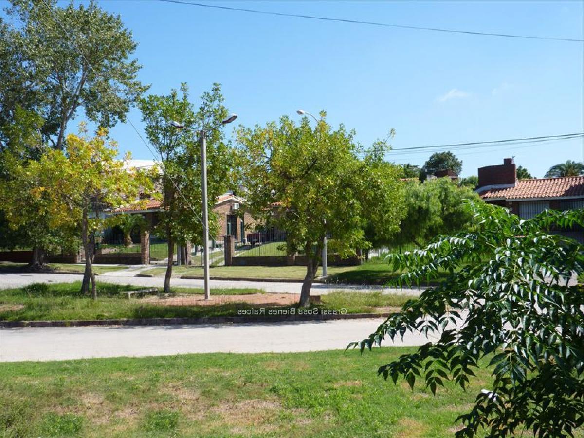 Grundstück in Montevideo, Uruguay, Nr. 15887