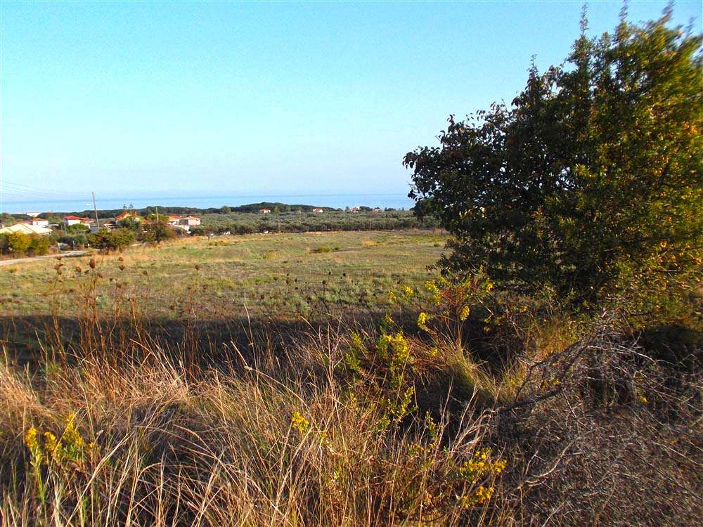 Отель, гостиница в Закинтос, Греция № 827