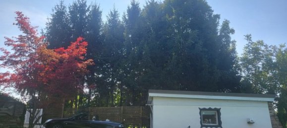 6 rooms House in Erlauf, Austria No. 10486 6