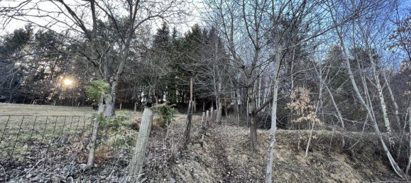 7-Zimmer Haus in Lockenhaus, Austria, Nr. 137848 50