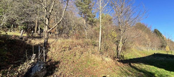 7-Zimmer Haus in Lockenhaus, Austria, Nr. 137848 41