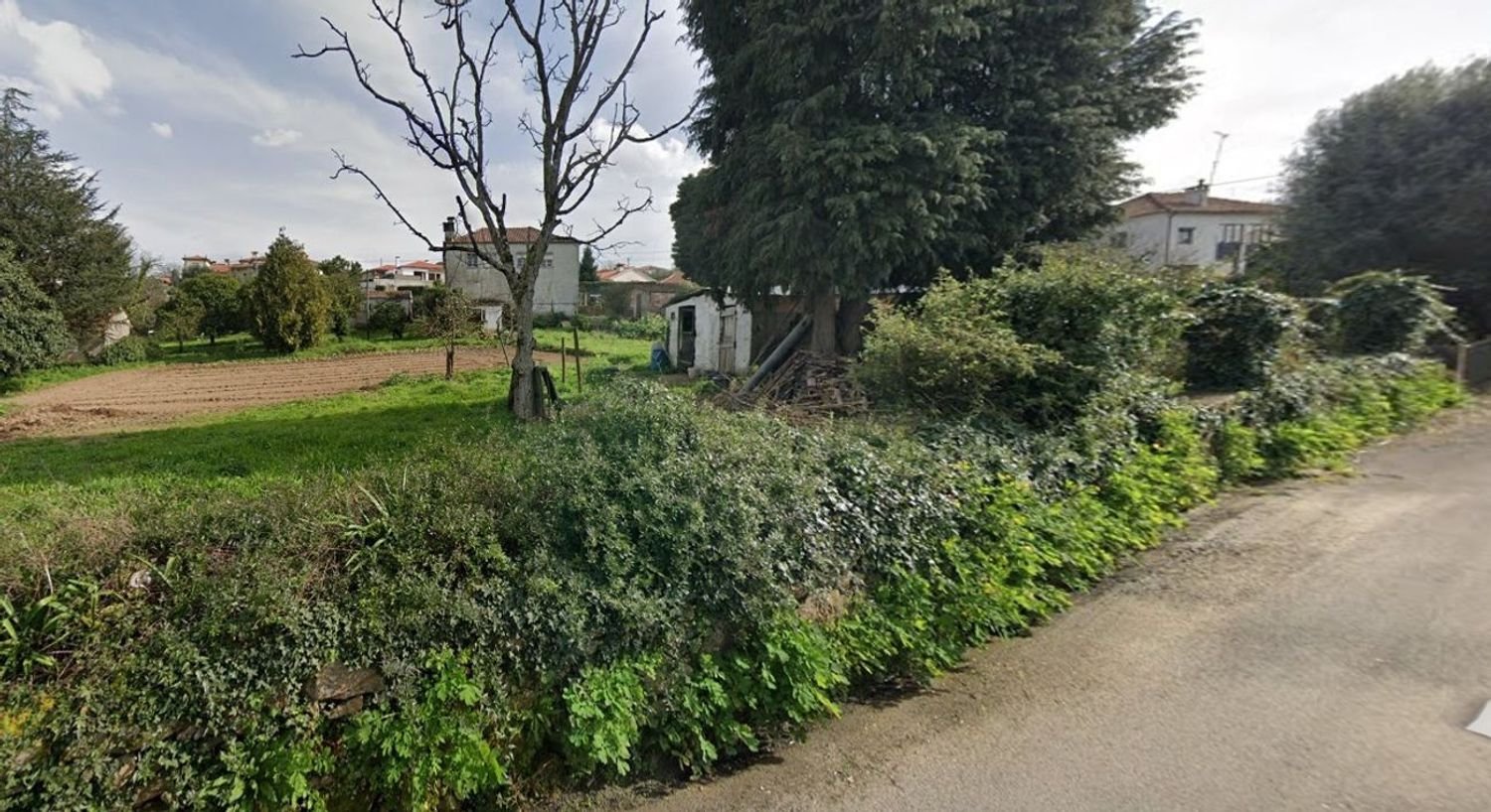 2345m² Land in Correlha, Portugal No. 54220