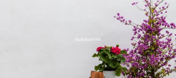 2 bedrooms Townhouse in Mijas, Spain No. 147520 6