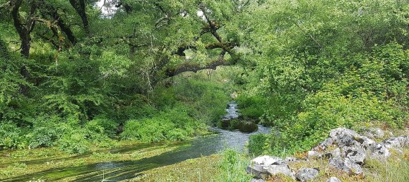 2 bedrooms House in Ansiao, Portugal No. 32992 6