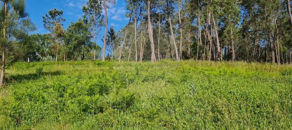 2 bedrooms House in Ansiao, Portugal No. 32992 5