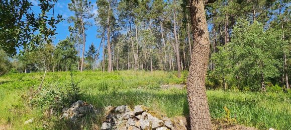 2 bedrooms House in Ansiao, Portugal No. 32992 4