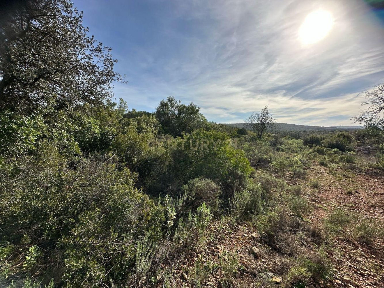 21960m² Land in Golega, Portugal No. 76171