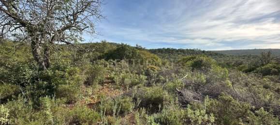 21960m² Land in Golega, Portugal No. 76171 10