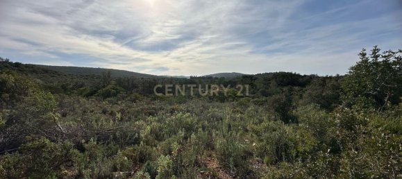 21960m² Land in Golega, Portugal No. 76171 9