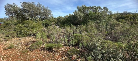 21960m² Land in Golega, Portugal No. 76171 6