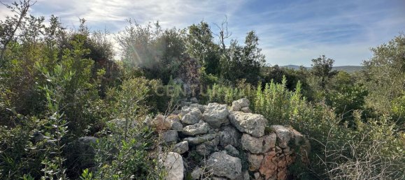 21960m² Land in Golega, Portugal No. 76171 2