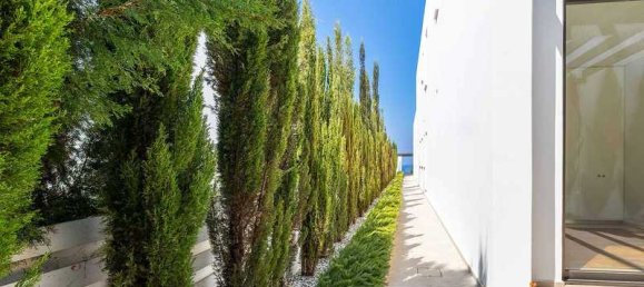 Дом с 5 спальнями в Пейя, Кипр № 15044 12