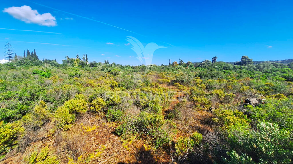 5000m² Land in Silves, Portugal No. 246578