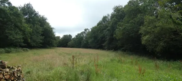  قطعة أرض في Finistere, France 5920متر مربع رقم 350474 3