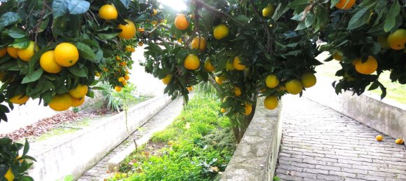 6 غرف نوم فيلا في Mafra, Portugal رقم 96618 28