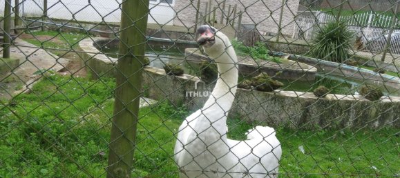 6 غرف نوم فيلا في Mafra, Portugal رقم 96618 30