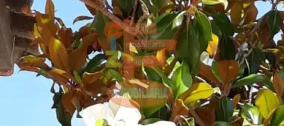 3 bedrooms House in Cuarte de Huerva, Spain No. 61999 12