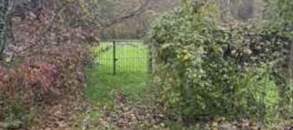 20 rooms House in Tornolo, Italy No. 298861 5