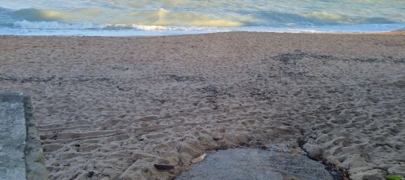 4 bedrooms House in Benicarlo, Spain No. 173563 19