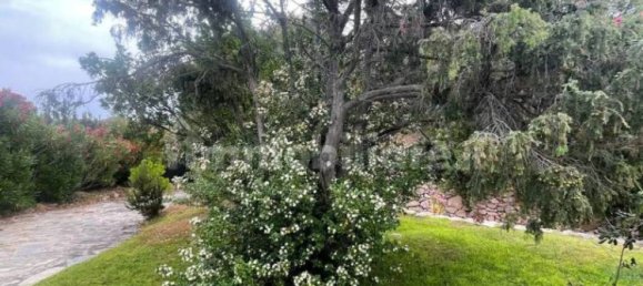 Villa de 9 dormitorios en Arzachena, Italy No. 261705 25