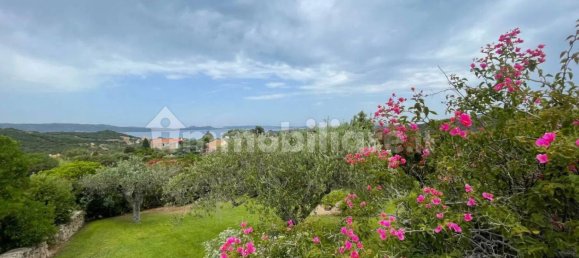 Villa de 9 dormitorios en Arzachena, Italy No. 261705 21