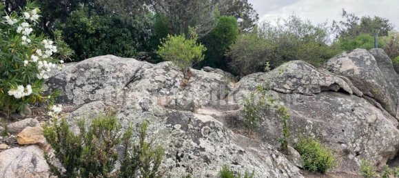 Villa de 9 dormitorios en Arzachena, Italy No. 261705 16