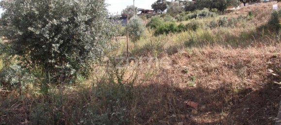 Grundstück in Tomar, Portugal 534m², Nr. 64707 7