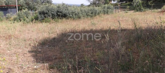 Grundstück in Tomar, Portugal 534m², Nr. 64707 5