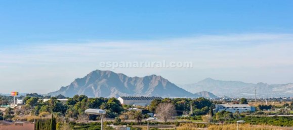 3 bedrooms Villa in Benijofar, Spain No. 13578 30