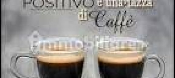 3 rooms Commercial property in Turin, Italy No. 101717 34