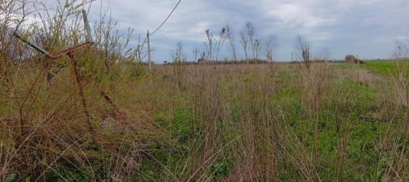 5-Zimmer Haus in Cascina, Italy, Nr. 47035 9