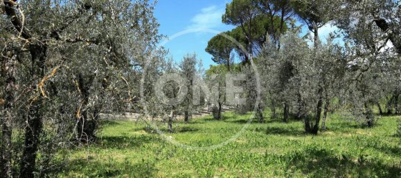 Grundstück in Montecchio, Italy 1712m², Nr. 76611 5