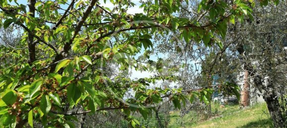 Grundstück in Montecchio, Italy 1712m², Nr. 76611 7