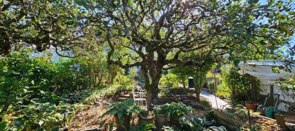 Таунхаус с 4 комнатами в Кохем-Целль, Германия № 341687 30