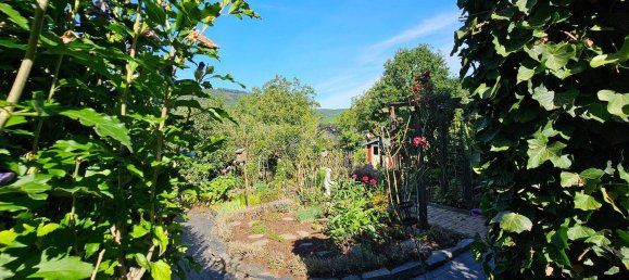 Таунхаус с 4 комнатами в Кохем-Целль, Германия № 341687 31