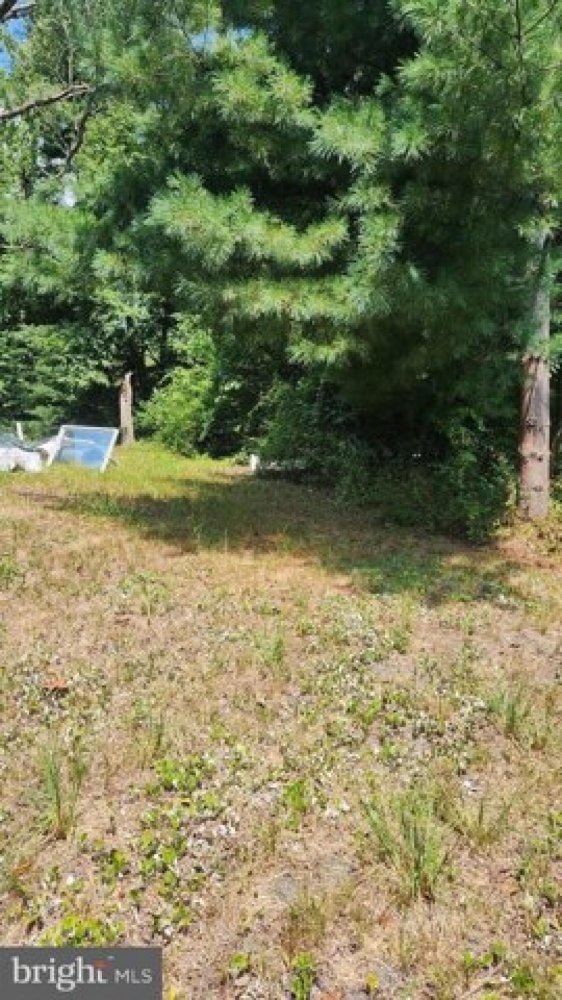 Studio in Leesburg, USA, Nr. 392398