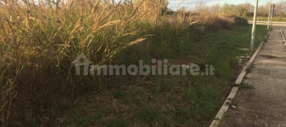 1 room Warehouse in Vasto, Italy No. 236413 6