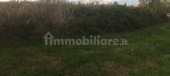 1 room Warehouse in Vasto, Italy No. 236413 8