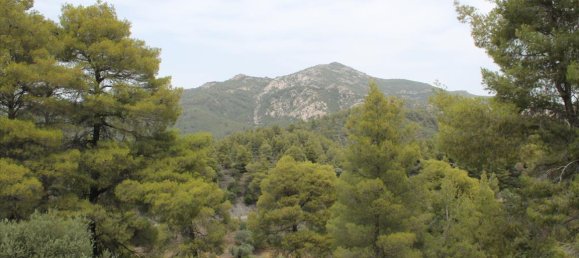 685m² Townhouse in Chalkidiki, Greece No. 7750 12