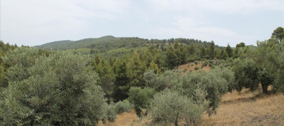 685m² Townhouse in Chalkidiki, Greece No. 7750 10