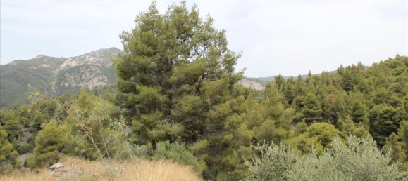 685m² Townhouse in Chalkidiki, Greece No. 7750 11