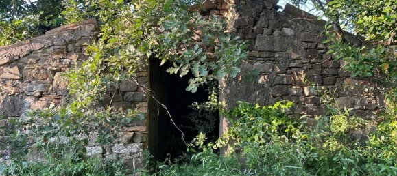  قطعة أرض في Serre, Italy رقم 374955 3