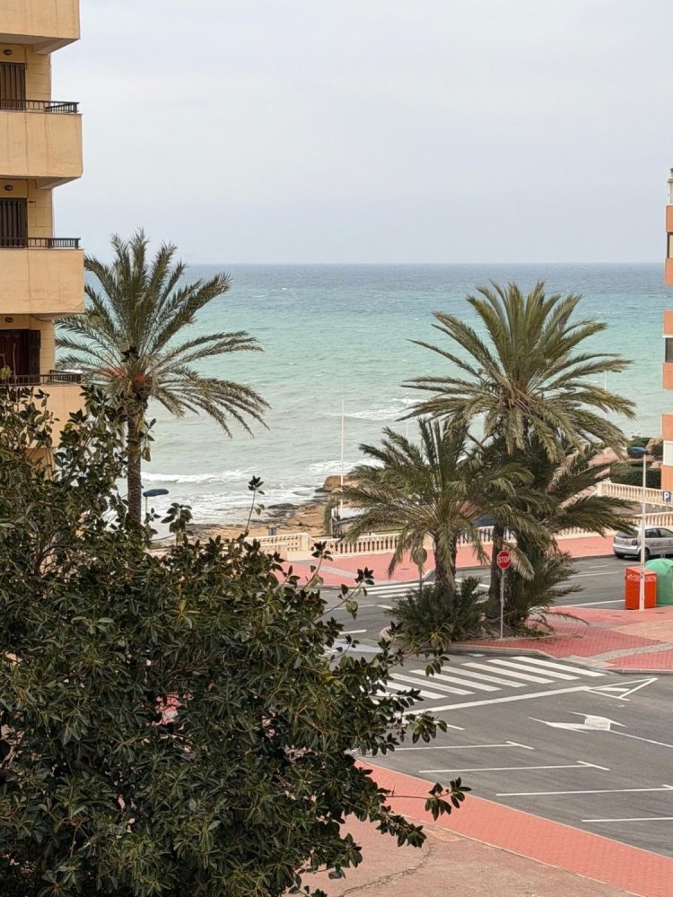 1 chambre appartement à vendre à Torrevieja, Alicante, Valencian Community, Spain № 369964