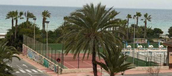 1 chambre appartement à vendre à Torrevieja, Alicante, Valencian Community, Spain № 369964 13